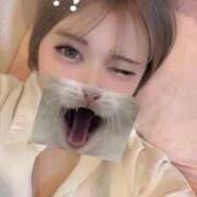 ヒメ日記 2026/01/23 01:50 投稿 めい 黒い金魚（札幌）