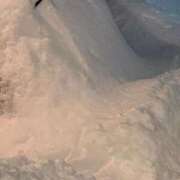 ヒメ日記 2026/01/27 08:20 投稿 めい 黒い金魚（札幌）