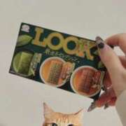 ヒメ日記 2026/02/14 01:00 投稿 めい 黒い金魚（札幌）