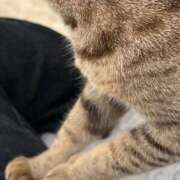 ヒメ日記 2026/03/25 13:11 投稿 めい 黒い金魚（札幌）