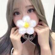 ヒメ日記 2026/04/09 01:50 投稿 めい 黒い金魚（札幌）