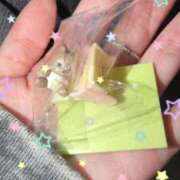 ヒメ日記 2026/05/28 21:20 投稿 めい 黒い金魚（札幌）