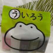 ヒメ日記 2025/08/14 18:43 投稿 ももな ラブストーリー池袋(ユメオト)