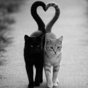 ヒメ日記 2025/08/15 15:03 投稿 あやの One More 奥様　錦糸町店