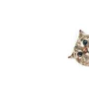 ヒメ日記 2025/08/16 22:53 投稿 あやの One More 奥様　錦糸町店