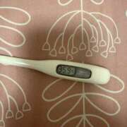 ヒメ日記 2025/11/04 17:18 投稿 上野　れいな つくば風俗エキスプレス   ヌキ坂46