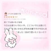 ヒメ日記 2025/10/23 11:11 投稿 めみ JAPAN CLUB BUNNY LOUNGE