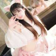 ヒメ日記 2025/11/02 17:01 投稿 めみ JAPAN CLUB BUNNY LOUNGE