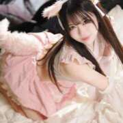 ヒメ日記 2025/11/05 06:03 投稿 めみ JAPAN CLUB BUNNY LOUNGE