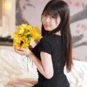 ヒメ日記 2025/11/13 17:31 投稿 めみ JAPAN CLUB BUNNY LOUNGE