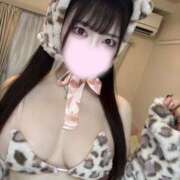 ヒメ日記 2025/11/14 14:00 投稿 めみ JAPAN CLUB BUNNY LOUNGE