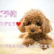 ヒメ日記 2026/04/13 08:28 投稿 ひな 熟女の風俗最終章 沼津店