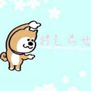 ヒメ日記 2025/12/01 15:10 投稿 うらら ビデオdeはんど すすきの校