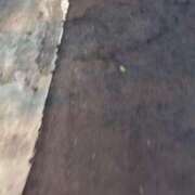 ヒメ日記 2025/08/30 16:15 投稿 よすが 丸妻 横浜本店