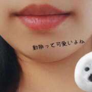 ヒメ日記 2025/09/25 09:41 投稿 よすが 丸妻 横浜本店