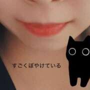 ヒメ日記 2025/10/03 10:08 投稿 よすが 丸妻 横浜本店