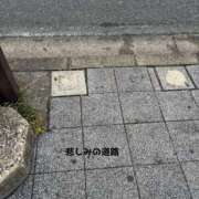 ヒメ日記 2025/10/18 16:10 投稿 よすが 丸妻 横浜本店