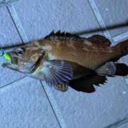 ヒメ日記 2025/10/21 10:18 投稿 よすが 丸妻 横浜本店