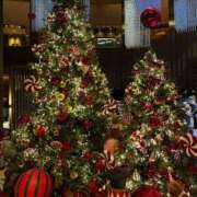 ヒメ日記 2025/12/10 00:01 投稿 ノア エピソード(品川)