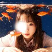 ヒメ日記 2026/01/27 17:30 投稿 水谷あすか 五反田オナクラ ちくキュンっ!学園