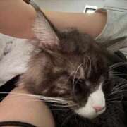 ヒメ日記 2025/09/21 19:00 投稿 まき ラブ・アンド・ラブ