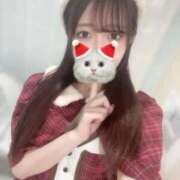 ヒメ日記 2025/12/19 12:09 投稿 えりな アネックスジャパン