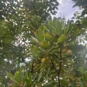 ヒメ日記 2025/11/10 19:49 投稿 宮田ゆい先生 五反田オナクラ ちくキュンっ!学園