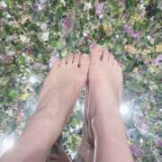 ヒメ日記 2025/08/23 11:30 投稿 小森ありさ 五反田オナクラ ちくキュンっ!学園