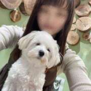 ヒメ日記 2025/08/31 17:54 投稿 小森ありさ 五反田オナクラ ちくキュンっ!学園