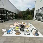 ヒメ日記 2025/11/06 19:24 投稿 小森ありさ 五反田オナクラ ちくキュンっ!学園