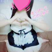 ヒメ日記 2025/08/12 10:18 投稿 しおり 千葉人妻花壇