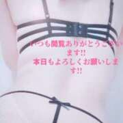 ヒメ日記 2025/11/16 15:15 投稿 しおり 千葉人妻花壇