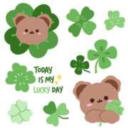 ヒメ日記 2025/12/17 19:54 投稿 しおり 千葉人妻花壇