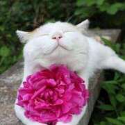 ヒメ日記 2026/02/06 19:31 投稿 しおり 千葉人妻花壇