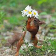 ヒメ日記 2026/02/06 19:43 投稿 しおり 千葉人妻花壇