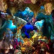 ヒメ日記 2026/02/11 11:16 投稿 しおり 千葉人妻花壇