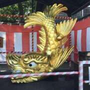 ヒメ日記 2026/02/11 11:26 投稿 しおり 千葉人妻花壇