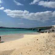 ヒメ日記 2026/02/11 19:08 投稿 しおり 千葉人妻花壇