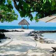 ヒメ日記 2026/02/11 19:20 投稿 しおり 千葉人妻花壇