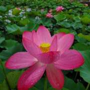 ヒメ日記 2026/02/14 19:40 投稿 しおり 千葉人妻花壇