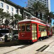 ヒメ日記 2026/02/17 13:06 投稿 しおり 千葉人妻花壇