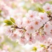 ヒメ日記 2026/03/28 16:35 投稿 しおり 千葉人妻花壇