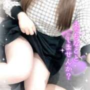 ヒメ日記 2026/02/11 15:29 投稿 せいら パラダイス(泉大津)