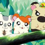 ヒメ日記 2025/10/20 00:23 投稿 あん コンカフェ×オナクラ あいこねくと