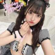 ヒメ日記 2025/11/15 03:43 投稿 のの ギャルズネットワーク大阪