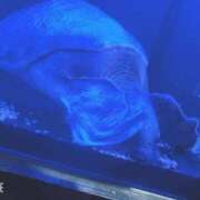 ヒメ日記 2026/01/08 16:00 投稿 月島 こなた こあくまな熟女たち 本厚木店(KOAKUMAグループ)