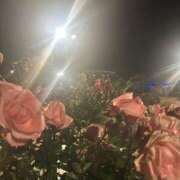 ヒメ日記 2026/01/03 15:34 投稿 あや スピード梅田店