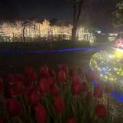 ヒメ日記 2026/01/05 22:44 投稿 あや スピード梅田店