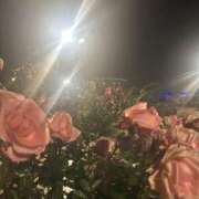 ヒメ日記 2026/01/19 18:14 投稿 あや スピード梅田店