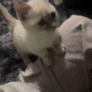 ヒメ日記 2026/03/10 16:33 投稿 あや スピード梅田店